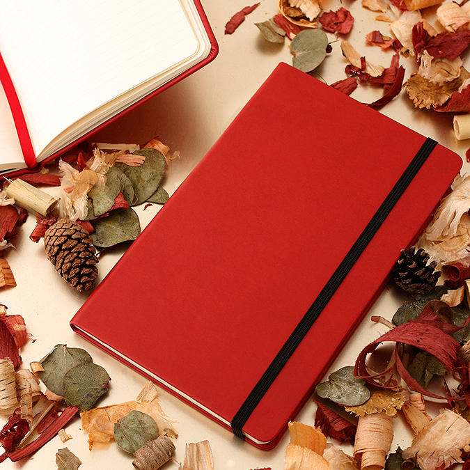 Libreta Skin