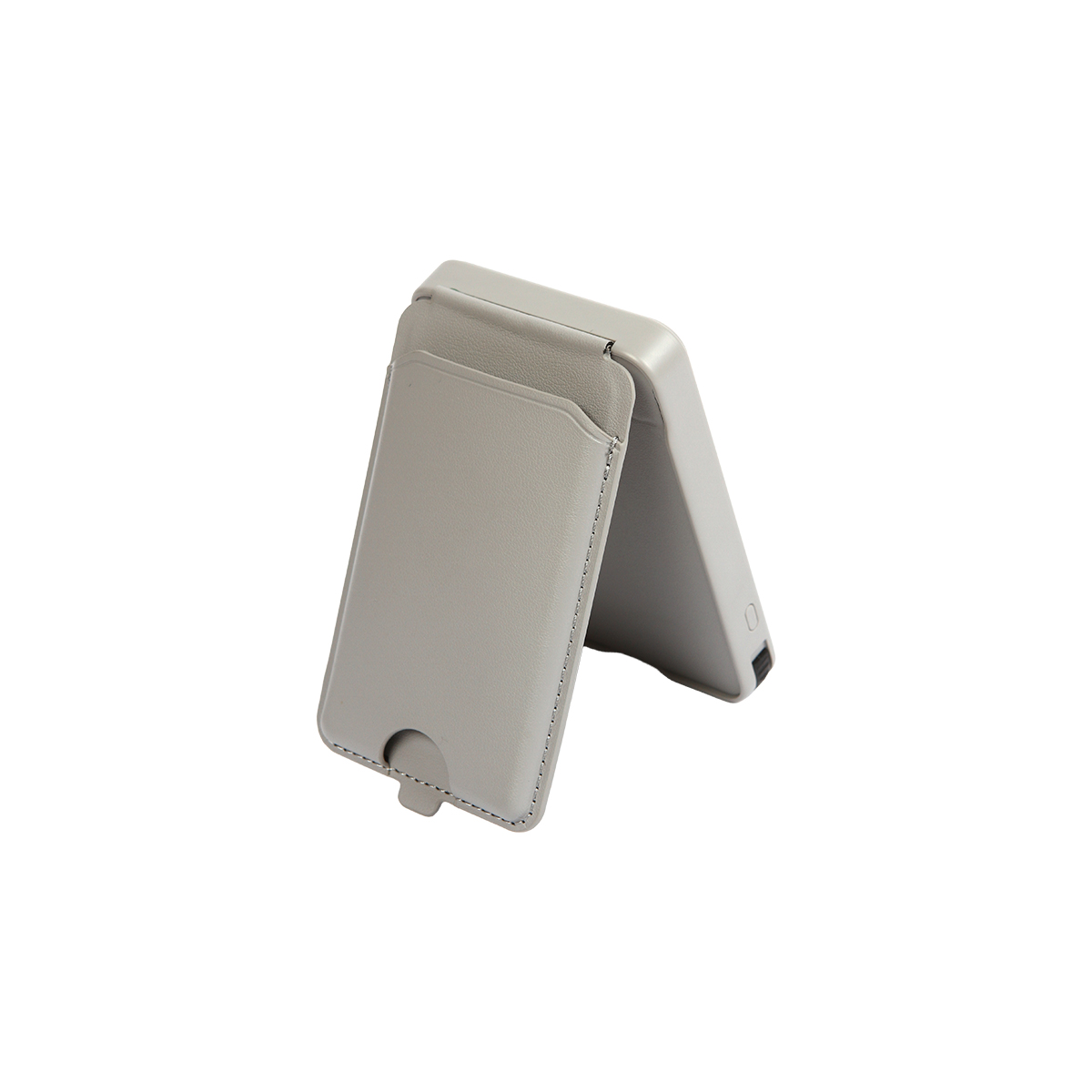 Power Bank Poti.