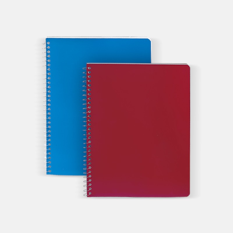 Cuaderno Profesional