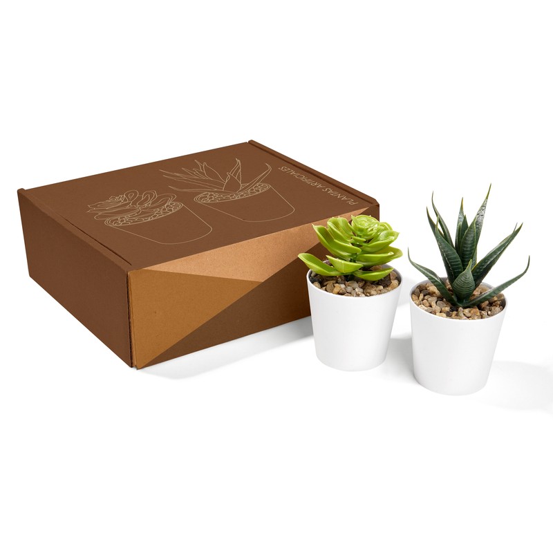 Set De Plantas Aliso